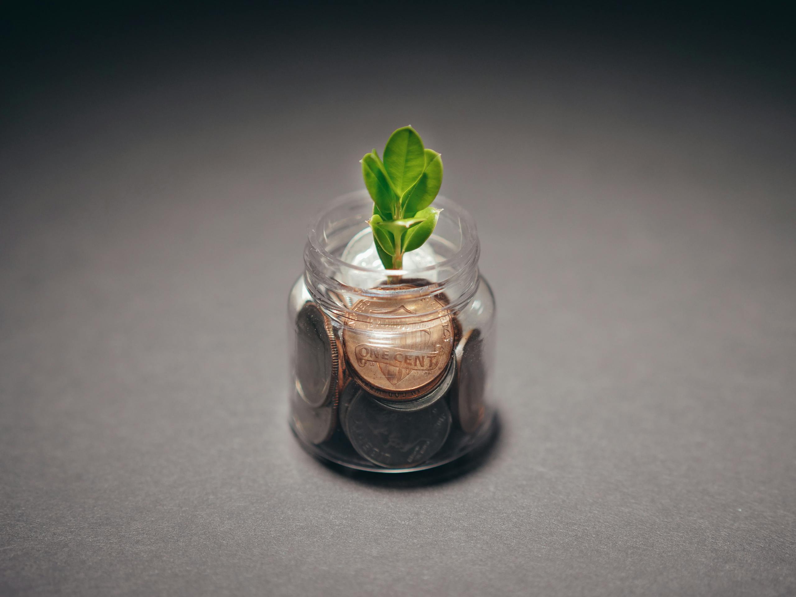 Voozon: A Comprehensive Guide to Its Concept, Features, Uses, and Future PotentialGreen plant growing from a jar filled with coins, symbolizing financial growth and investment.