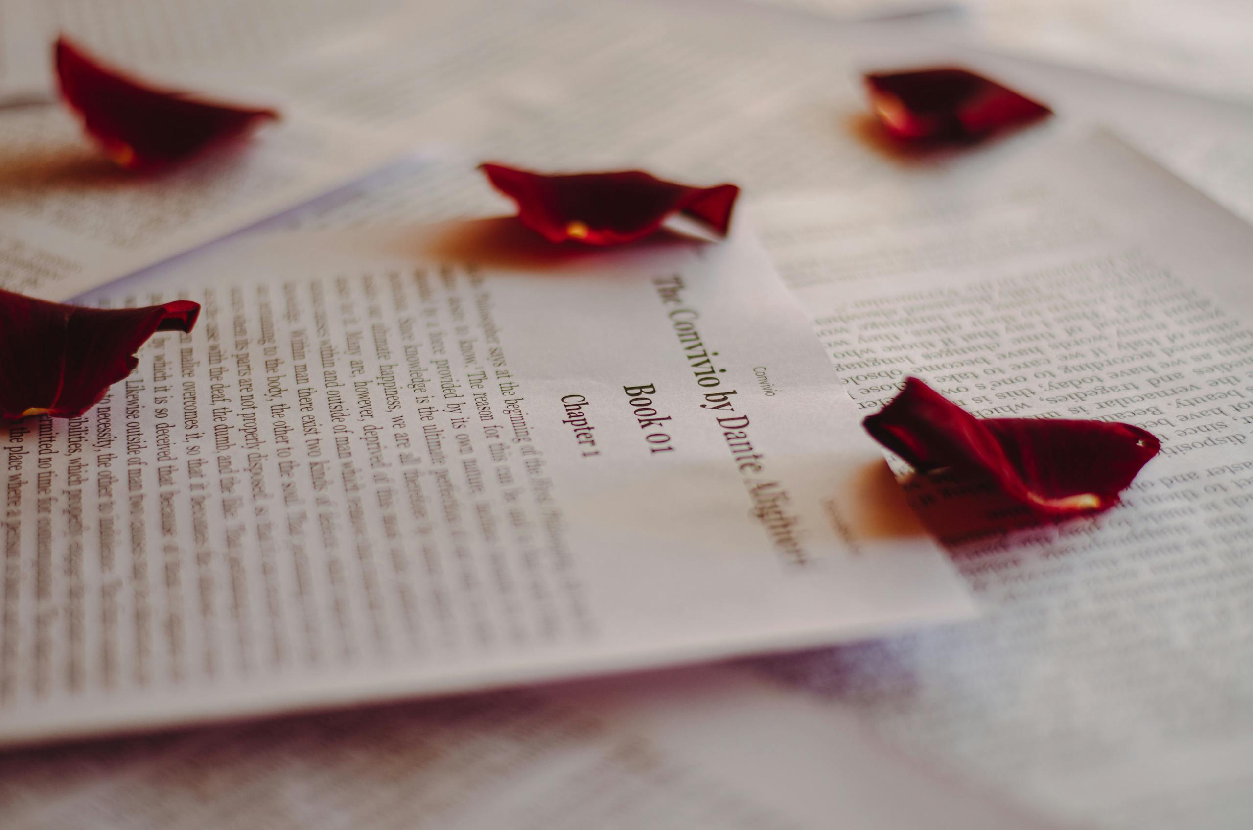 Phil or Lil of Rugrats Crossword Detailed view of book pages with scattered red rose petals, emphasizing romance and literature.